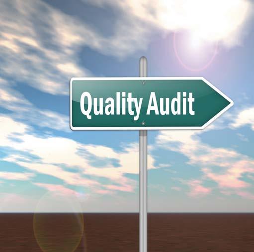 Quality Category Focus How are your selected measures scoring thus far?