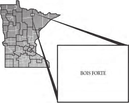 Bois Forte Reservation Kevin Leecy Chairman 5344 Lake Shore Drive PO Box 16 Nett Lake, MN 55772 Phone: (218) 757-3261 Toll Free: (800) 221-8129 Fax: (218) 757-3312 Shelley Strong, CSBG Contact Email: