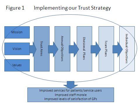 Implementing our trust strategy It is important that we are able to fully realise our vision and demonstrate the successful implementation of the commitments set out in this strategy.