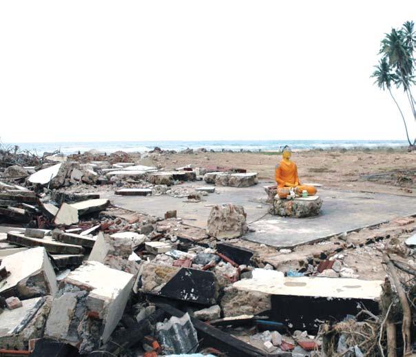 Applying what you know: Training in action Event The earthquake and tsunami of 26 December 2004 killed 12 500 people in Sri Lanka s Ampara district.