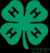 In an independent project, a 4-H member works directly with a trained adult volunteer in an informal setting but not in the traditional group setting.