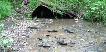 small culverts under 4 (52%) Issues Armstrong: