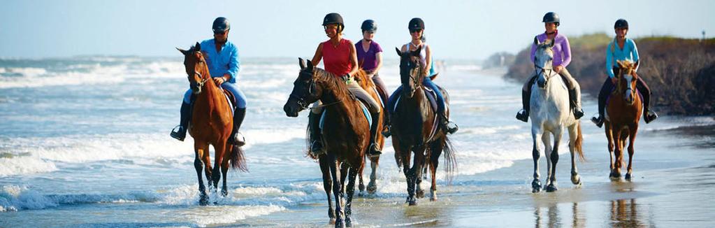 the EQUESTRIAN CENTER Seabrook is one of the only islands in the Lowcountry that permits horseback riding
