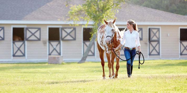 Seabrook Island is the only private island community in the Charleston area offering a full-service Equestrian Center.