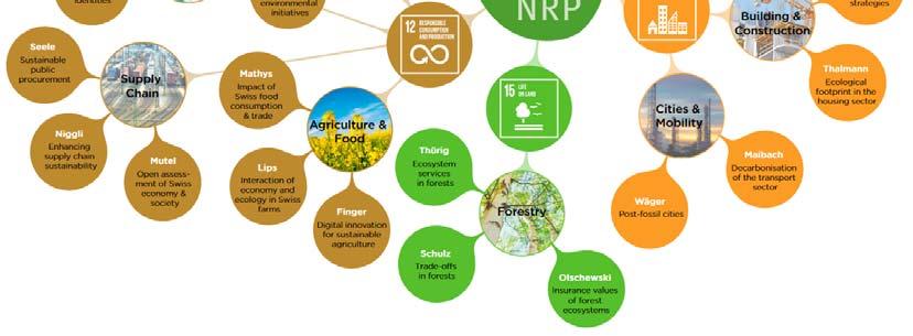 The National Research Programme Sustainable Economy: resource-friendly, future-oriented, innovative (NRP 73) aims to generate scientific knowledge about a sustainable economy that uses natural