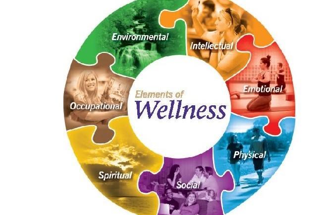 What are some of the Features of a Good Wellness Program? Features Wellness programs can cover a wide range of health-related issues.