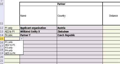 The information regarding partner name and partner country will be automatically retrieved from the first worksheet.