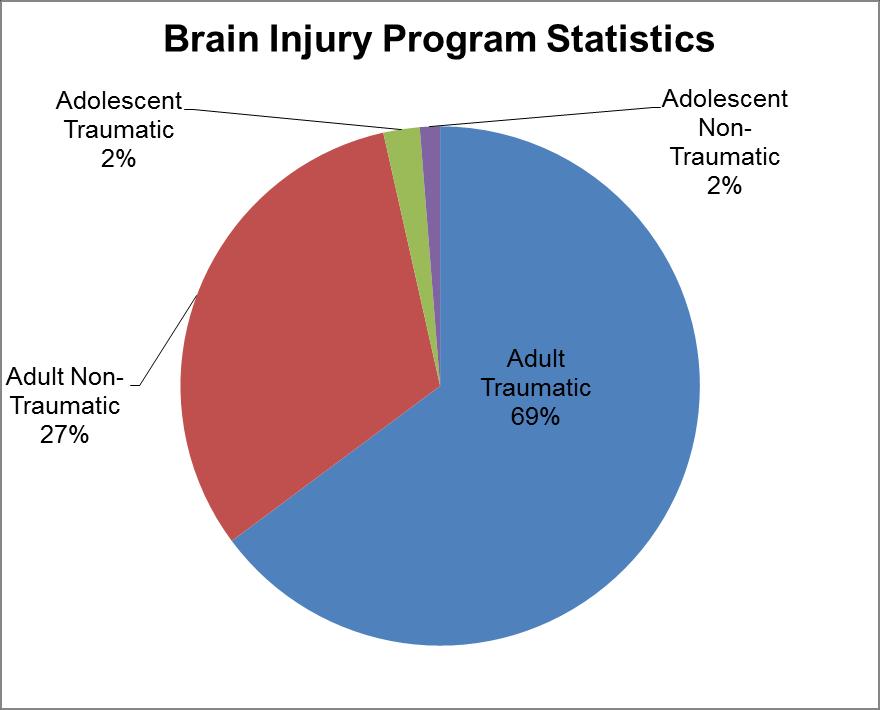 Average Age and Gender In 2016, 384 adult patients were discharged from the Brain Injury Program. The average age of a patient with a non-traumatic brain injury was 50.