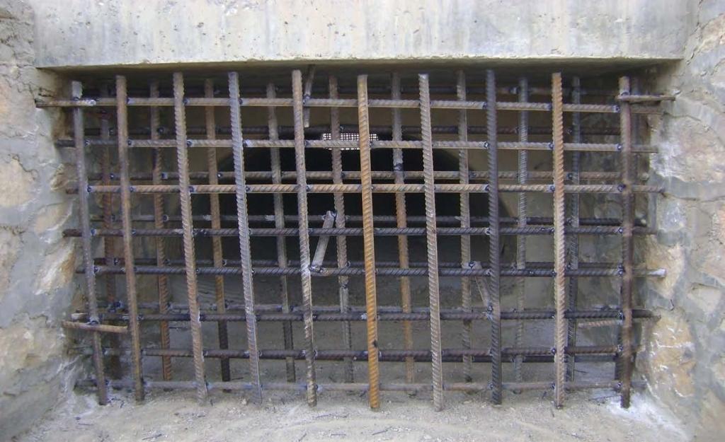 Performance-Based Debarment Example: Improper installation of a culvert denial system in a concrete lined culvert.