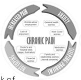 Approximately 100 million people experience chronic pain The financial cost of pain, including lost productivity, is greater than $600 billion Leads to decreased productivity and potential job loss