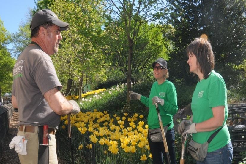 Volunteers wear green, staff wears grey T-shirts, sweatshirts, and hats issued Winter