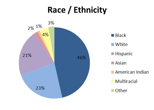 10 Ethnic Origin Minorities comprise 77 percent of transit passengers.