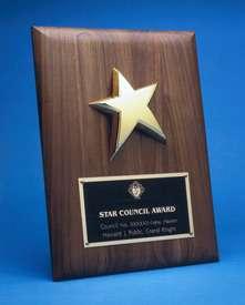 General Program Information... STAR COUNCIL AWARD 1. Forms #365, & Fraternal Survey Forms Submitted by due date; 2.