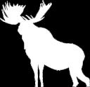 m. Welland 977 Newfie Bash Starting at 4 p.m. To join our Facebook Group, search... Hamilton Canada Moose Lodge".