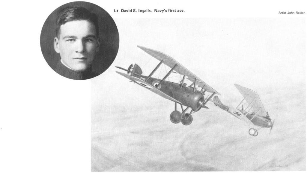 USN 1053802 From July 18 to September 24, 1918, while flying with RAF Squadron No. 213, Lt. David S.