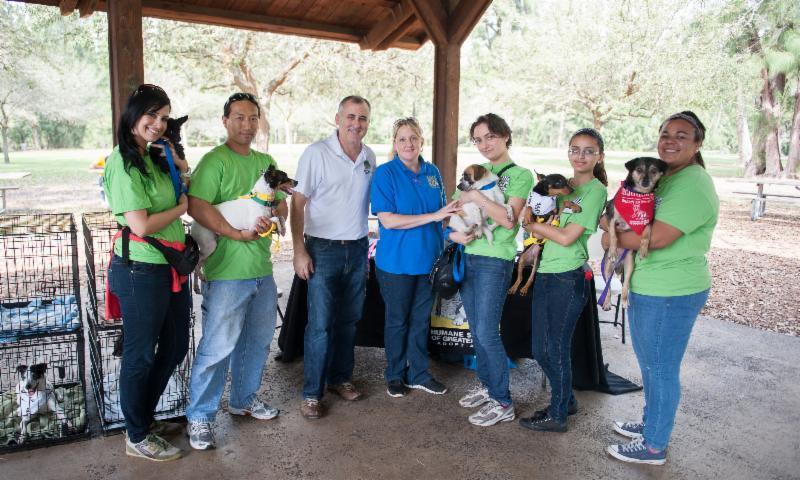 With their help, we were able to give over 45 animals a new home.