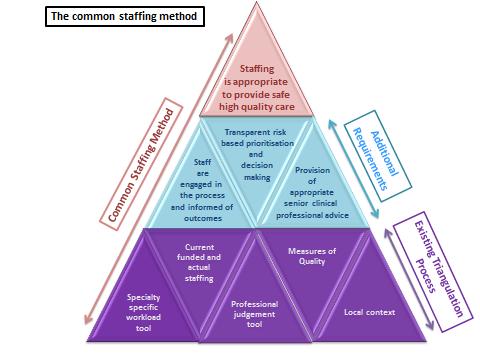 106. For settings where a speciality specific staffing tool currently exists, the Bill will make it explicit that Health Boards are expected to: Apply an evidence-based common staffing method, which