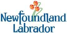 Newfoundland and Labrador Settlement & Integration Program (NLSIP) Funding Guidelines