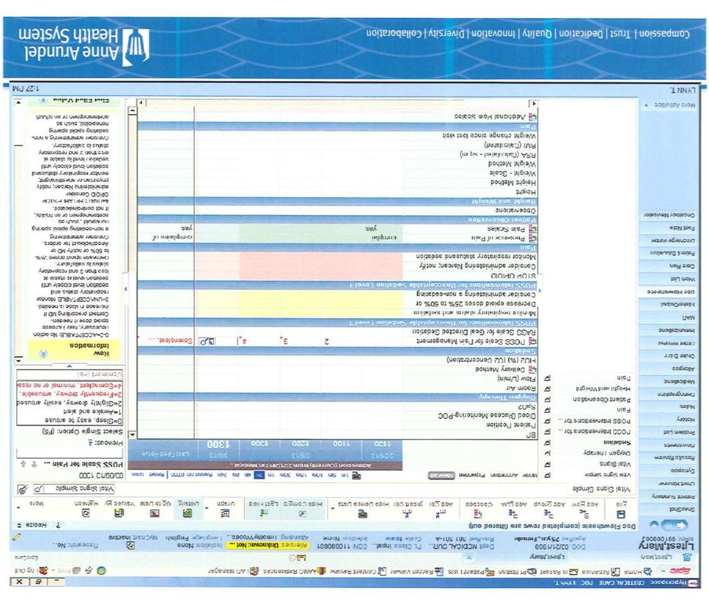 Exhibit 3. Integrated Documentation Flow Sheet Showing Inclusion of Pain Score, Vital Signs and Sedation Level. Corresponding Interventions are Shown to the Right of the Field for Easy Reference.