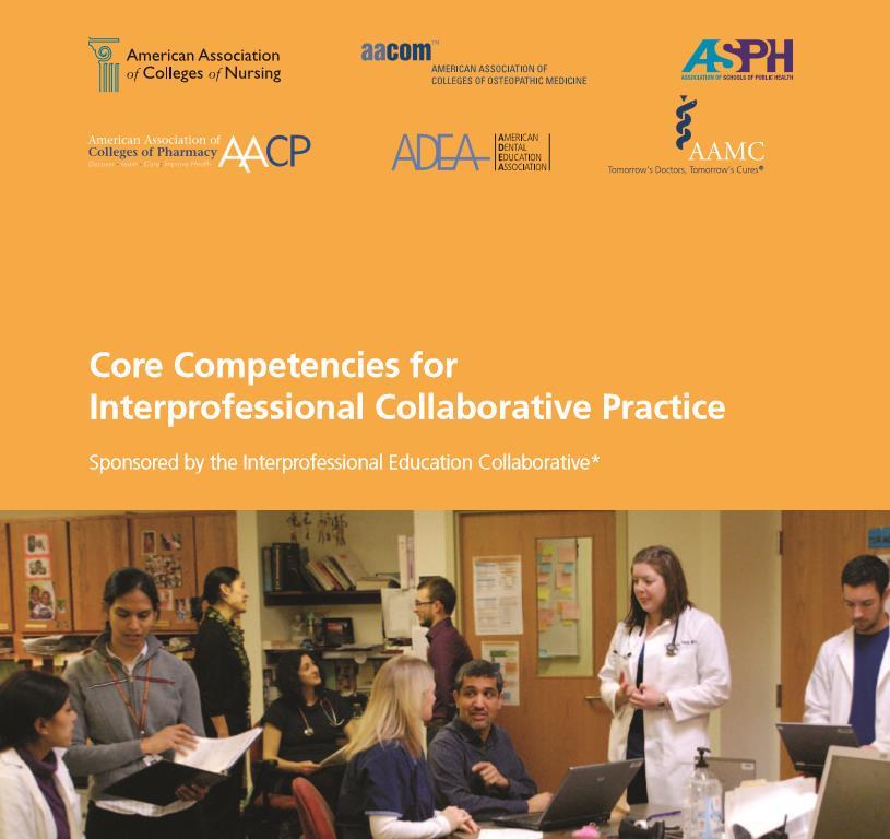 Interprofessional Education Collaborative Expert Panel. (2011).