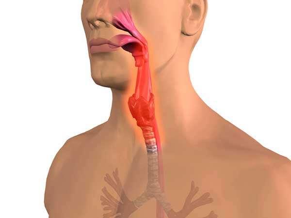 THE BASICS Type of Dysphagia Oral dysphagia refers to difficulty in the passage of liquids or food from the mouth to the esophagus.