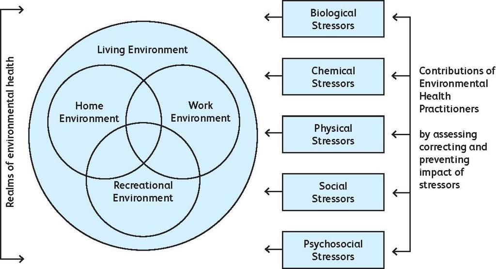 Environmental health - what we do EHPs need a wide range of skills and an understanding of a complex range of issues.