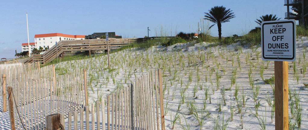 Project Summary The Corps Network (TCN) stands ready and willing to assist the Gulf Coast Ecosystem Restoration Council (Council) with the ecosystem and economic restoration of the Gulf Coast while