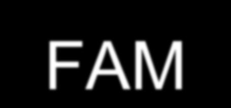 FAM-DOM Extended Activities of