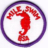 The BSA Lifeguard emblem is especially important in Sea Scouting.
