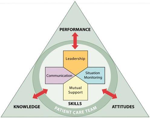 Strategies of a Cohesive Team Builds a Culture of Safety