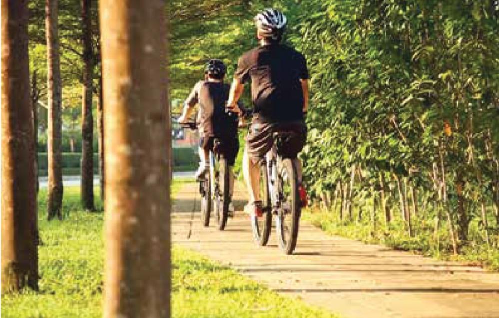 Bipath The dedicated cycling and jogging path is designed to encourage and promote a healthier living for the community.