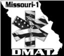 Disaster Medical Assistance Team (DMAT) A DMAT is a group of professional and para-professional medical personnel (supported by a cadre of logistical and administrative staff) designed