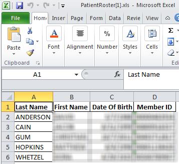 3. View the Patient Roster in Excel. Refer to Figure 2-21.