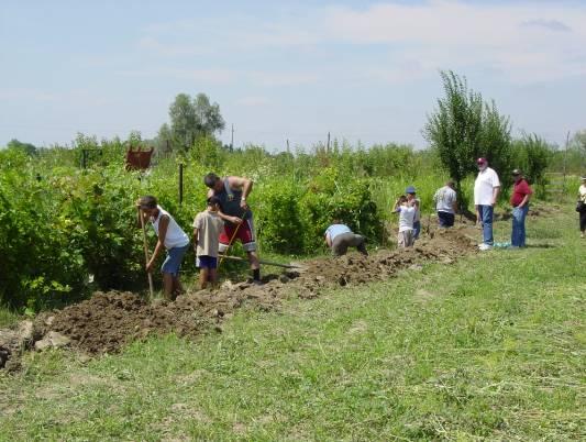 Visited 3H Rotary project in Cluj: Peasants feed