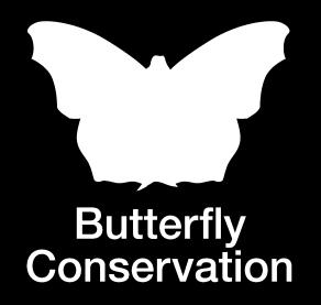 fundraising@butterfly-conservation.org Phone: 01929 406015 www.butterfly-conservation.org/fundraising Good Luck!