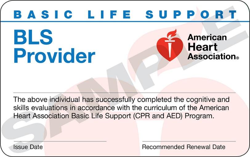 Office of Student Affairs Below is a sample of a Basic Life Support (BLS) card for health care providers. The American Heart Association certification is valid for two years.