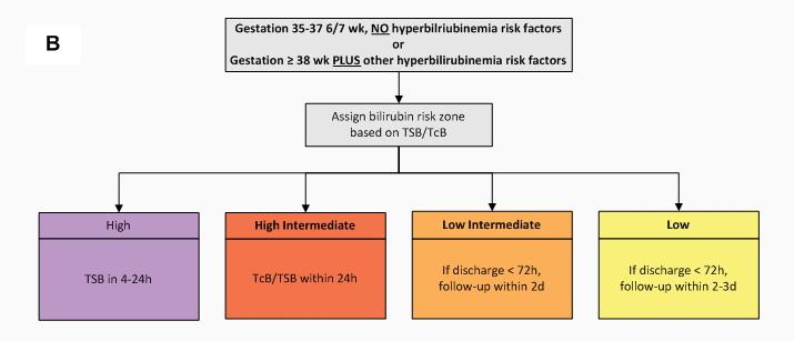 Screening/Observation GA is > 35 +0 < 37 +6, no risk factors for Severe Hyperbilirubinemia identified = Choose Path B Bilirubin plots