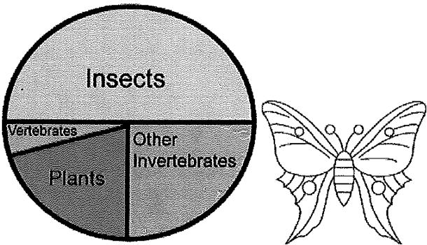 4. Insect Graph a. According to the graph, which group of organisms has the most number of species? b. What is the total percentage for all invertebrates? c.