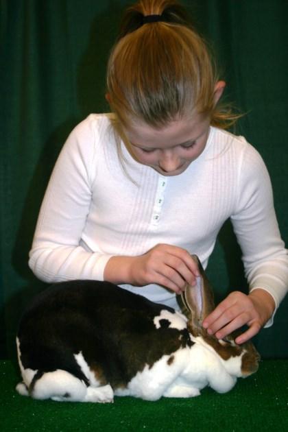 15 Michigan 4-H Small Animals Workshop STATEWIDE CALENDAR OF EVENTS 4-H Workshops September 12: Social Media for 4-H Club Leaders September http://msue