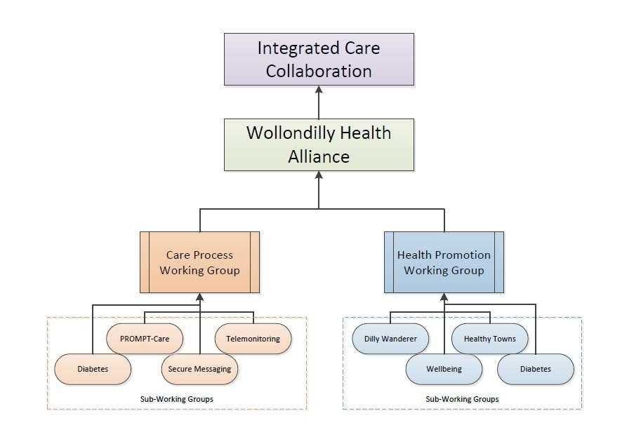 Governance Currently, there is a Wollondilly Health Alliance Steering Group that is responsible for ensuring appropriate management of the Alliance project components including: Ensure Alliance