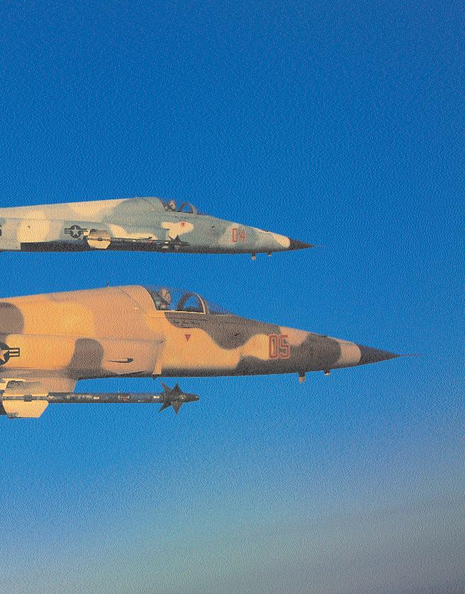 A pair of VMFT-401 F-5E Tiger IIs sport dissimilar camouflage schemes to present different looks to the Marine aircrews who fly against them.