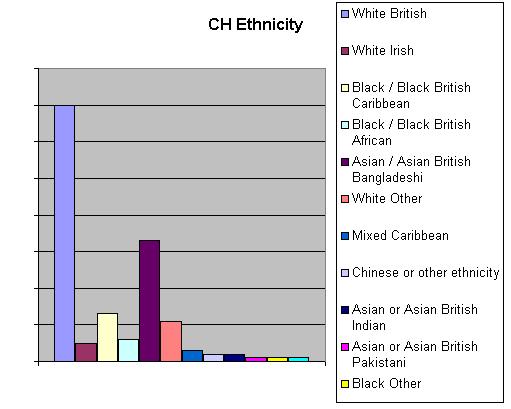Ethnicity Breakdown of TH Crisis House patients