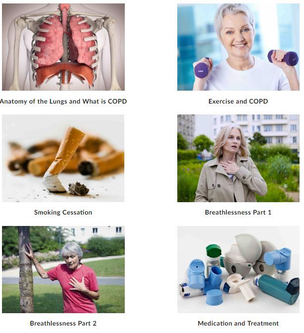 Education Anatomy of the lungs and what is COPD Exercise Smoking cessation Breathlessness