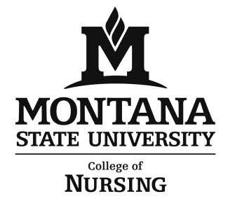 Master of Nursing (MN) Graduate Degree Clinical Nurse Leader Clinical Manual for Students