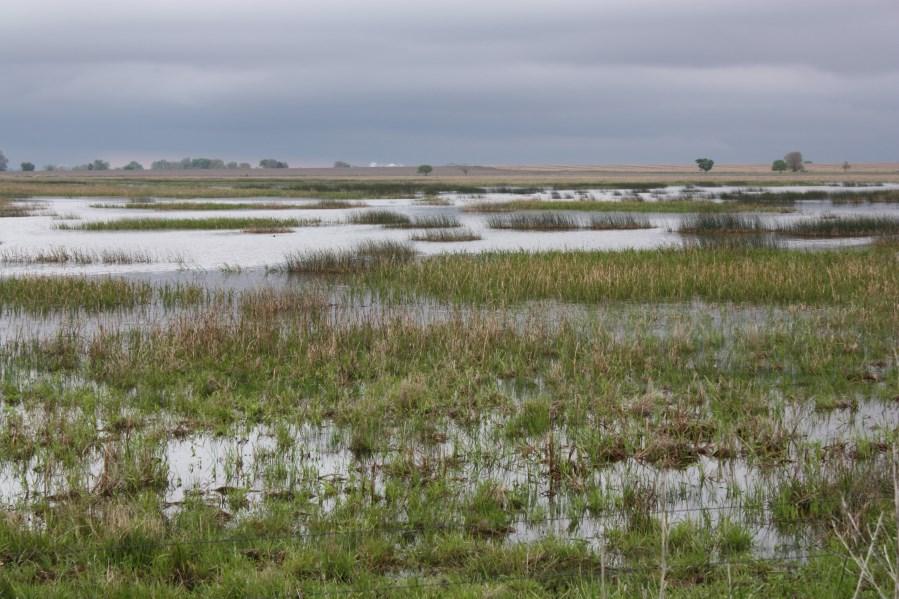 In April, the Nebraska Environmental Trust awarded grants to several Joint Venture partners and approved $536,615 in grants to the RWBJV for habitat projects in Rainwater Basin wetlands.