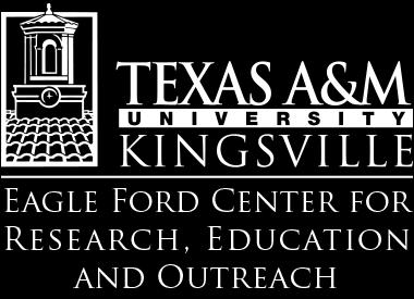 Texas A&M University-Kingsville Eagle Ford Center For Research, Education and Outreach Public Awareness of Pipeline Safety Workshop Sponsorship Levels and Benefits Platinum: $3,000 Logo as Platinum