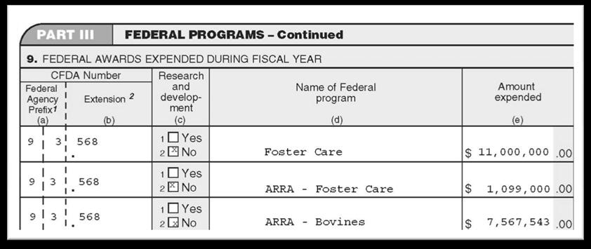Data Collection Form Things to Consider Separate presentation of Recovery Act expenditures in the DCF DCF submission