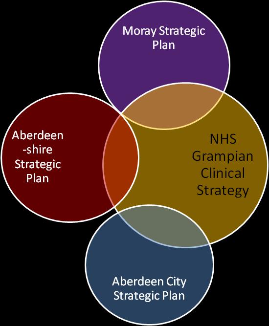 structure, the Area Partnership Forum and other groups to ensure that the feedback received is reflected in the strategy and supporting improvement plan.