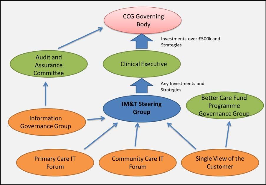 Figure 5. IM&T Steering Group Governance and Accountability F4 Next Steps F4.