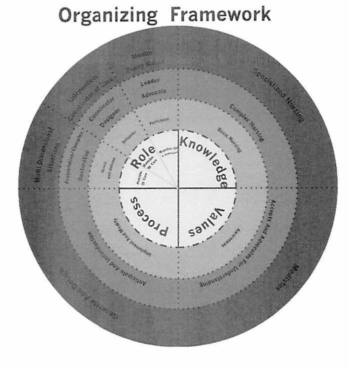 DNP MSN BSN AASN School Of Nursing Organizing Framework The organizing framework of the nursing department is derived from the philosophy and has four major components.